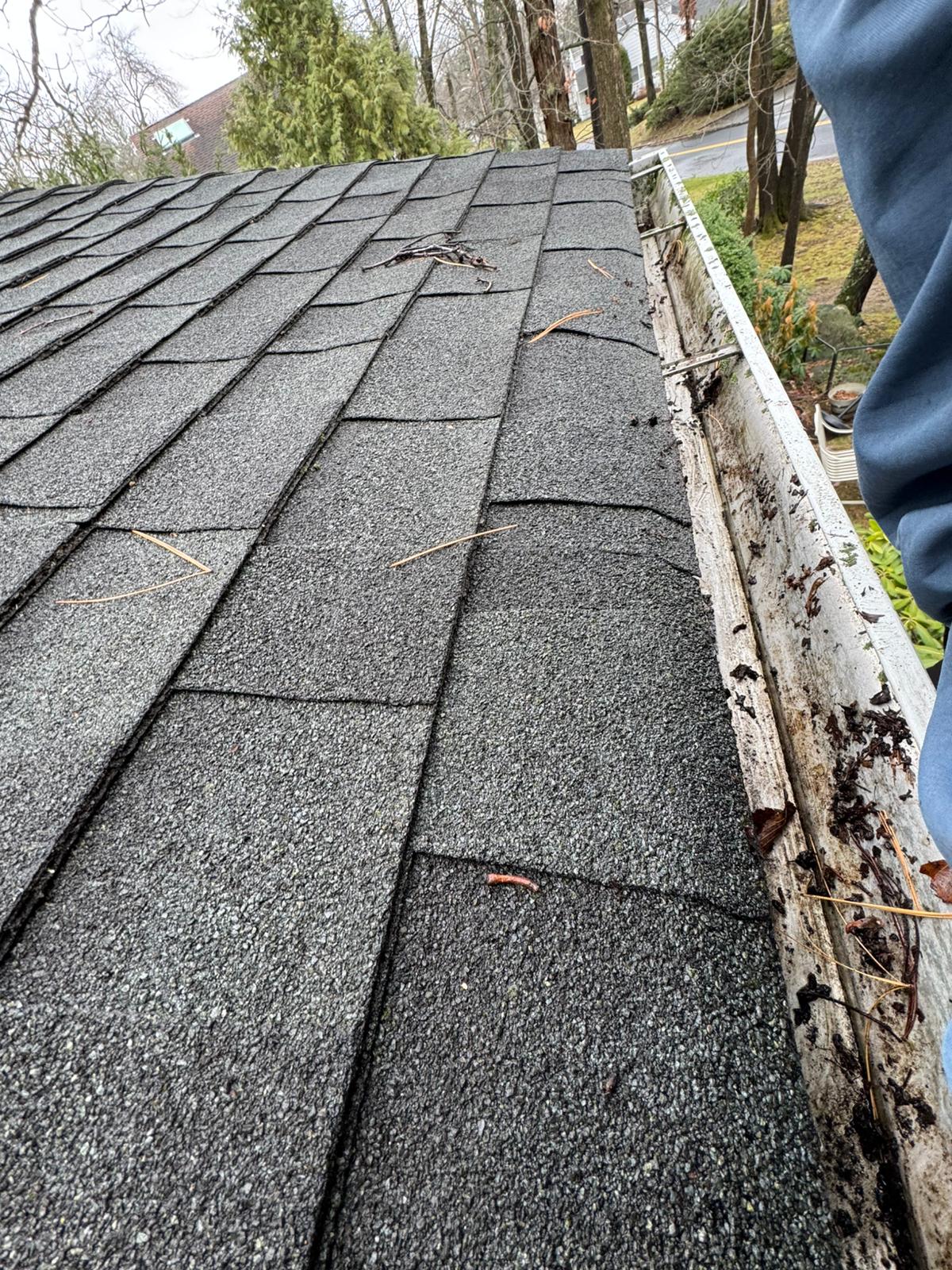 WhatsApp Image 2026-01-16 at 4.21.28 PM